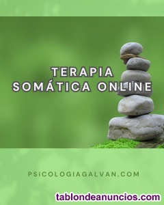 Somatic experiencing. Terapia som�tica online