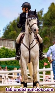Caballo de salto para la temporada 2026