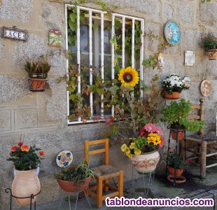 Negocio Educativo ya montado