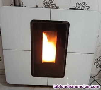 Caldera de pellets y hueso de aceituna 