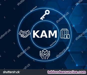 Key Account Manager- Sector Compuestos Pl�sticos