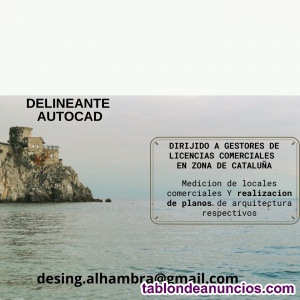 DELINEANTE free lance