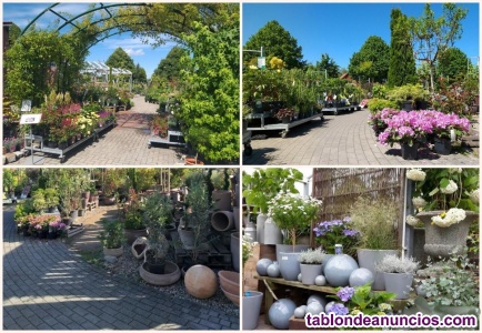 Se vende GARDEN CENTER 