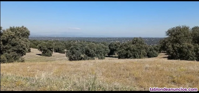 Alquiler coto caza M�ntrida 