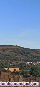 Olivar con 21% de pendiente 