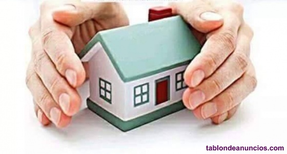 Pe�n de pintura con experiencia