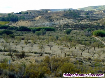 Vendo finca r�stica