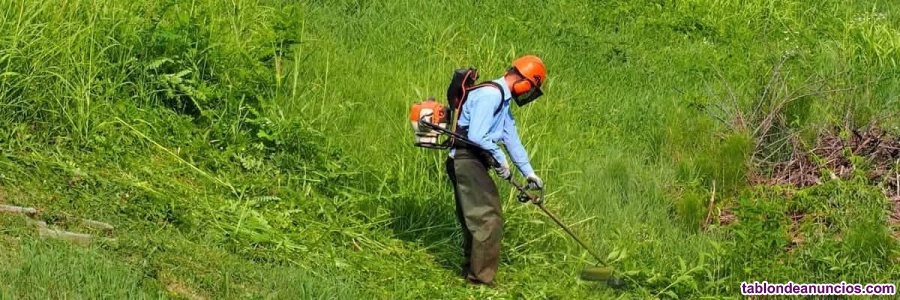 Busco empleo de limpieza 