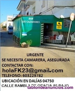 Necesito camarero-a, asegurada