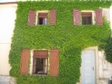 Fotos del anuncio: Vendo casa con jardn en Hoyales de Roa (Burgos) - Ribera del Duero