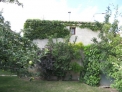 Fotos del anuncio: Vendo casa con jardn en Hoyales de Roa (Burgos) - Ribera del Duero