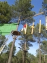 Parque de Aventuras en los Arboles