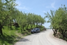 Fotos del anuncio: Finca de almendros valle de lecrin