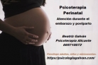 Psicología Perinatal: atención psicológica en el embarazo, parto y postparto