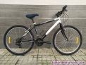 Bicicleta tipo holandesa
