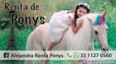 Fotos del anuncio: Renta de ponys