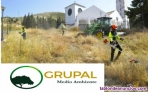 Fotos del anuncio: Jardinera, trabajos forestales y limpieza