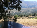 A la salida del pueblo,hacia navalmoral de la sier, Se vende finca rustica junto a burgohondo Se vende finca rustica junto a burgohondo