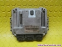 CENTRALITA MOTOR UCE  RENAULT SCENIC II Authentique 