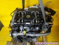 MOTOR COMPLETO  FORD MONDEO TURNIER (GE) Ghia X (06.2003->) (D) 