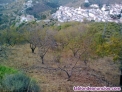 Fotos del anuncio: Terreno con vistas al mar y montaa