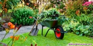 Fotos del anuncio: Mantenimiento de jardin y piscina
