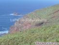 Fotos del anuncio: ID-424  Gran terreno en la zona noroeste de la isla de la Palma, en Lomada Grand