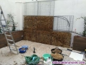 Fotos del anuncio: ### instalacin de jardines verticales ###