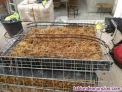 Fotos del anuncio: ### instalacin de jardines verticales ###