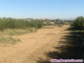 Fotos del anuncio: Finca en el ginete