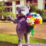 Fotos del anuncio: Teddy bear Marbella Malaga 