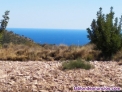 Parcela rustica en Relleu
