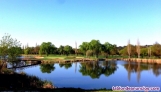 Fotos del anuncio: Cesin gratuita accin Club de Golf Lomas-Bosque