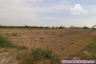 Ref: 0325. Finca rústica en venta en Catral (Alicante)