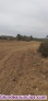 Finca de cereal con extensa roca llana