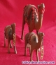 Tres camellos en madera de palma