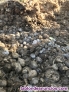 Abono estiércol de caballo ecológico 