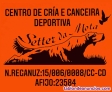 Setter da mota 