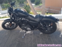 Fotos del anuncio: Harley Davidson Sporster Iron Negra mate