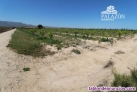 Ref: 0982. Finca de cultivo en venta en Crevillente (Alicante)