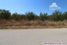 Fotos del anuncio: Ref: 3073. Finca de cultivo en venta en Crevillente (Alicante)