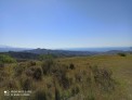 Parcela en macharaviaya con vistas al mar
Son dos 