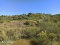 Fotos del anuncio: Parcela en macharaviaya con vistas al mar
Son dos 