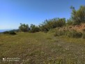 Fotos del anuncio: Parcela en macharaviaya con vistas al mar
Son dos 