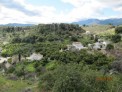 Fotos del anuncio: En plena Sierra de las Nieves, entre Alozaina y Yu