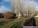 Finca caza
