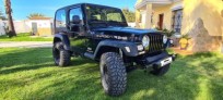 JEEP - Wrangler - cat Sahara