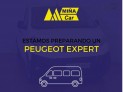 PEUGEOT Expert Furgn Pro 1.5 BlueHDi 100 S&S Standard