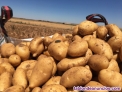 Fotos del anuncio: Busco agricultores  de patatas.