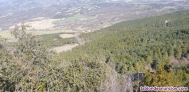 Fotos del anuncio: Se vende Bosque (Finca rstica) en la localidad de Lascuarre (Huesca)